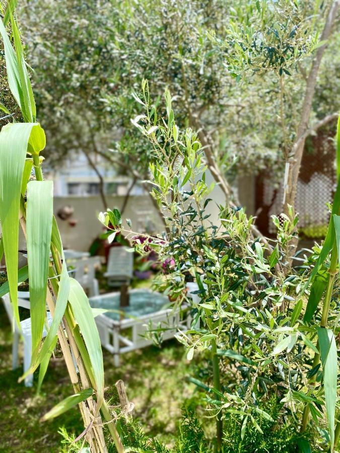 Villa Rocco Rooms Santa Teresa Gallura Exteriör bild